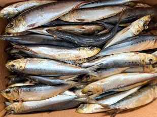 Снеки к пиву: Сельдь Иваси х\к